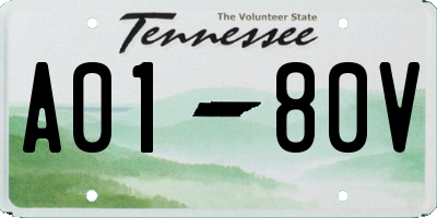 TN license plate A0180V