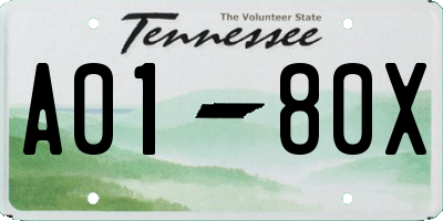 TN license plate A0180X
