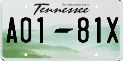 TN license plate A0181X
