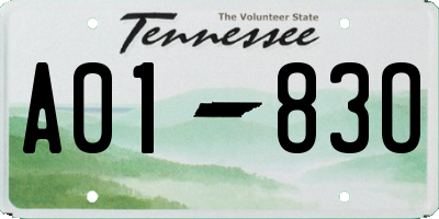 TN license plate A0183O