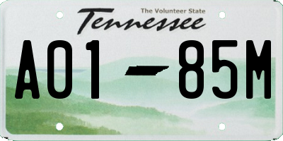 TN license plate A0185M