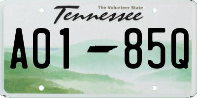 TN license plate A0185Q