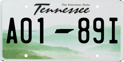 TN license plate A0189I