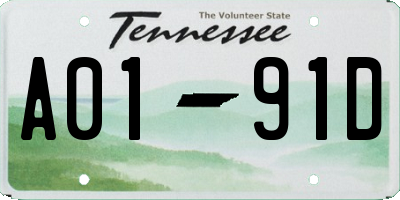 TN license plate A0191D