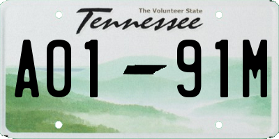TN license plate A0191M