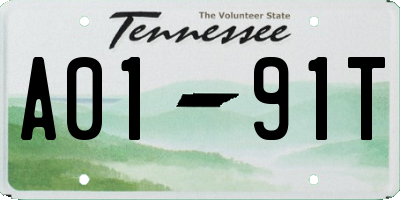 TN license plate A0191T