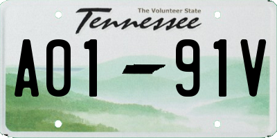 TN license plate A0191V