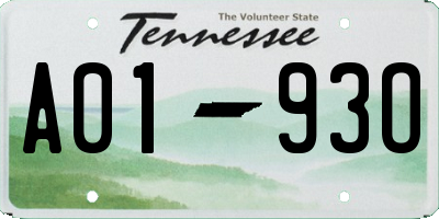 TN license plate A0193O