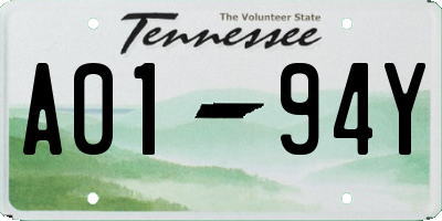 TN license plate A0194Y