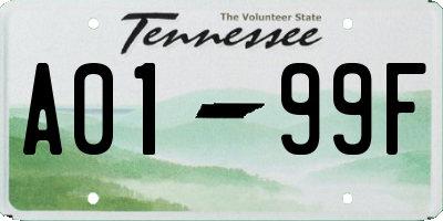 TN license plate A0199F