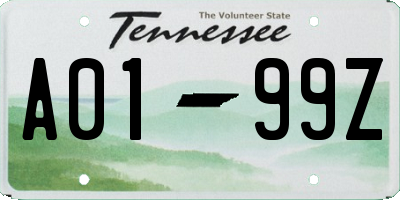 TN license plate A0199Z