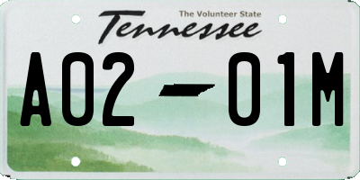 TN license plate A0201M