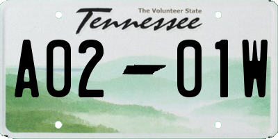 TN license plate A0201W