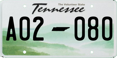 TN license plate A0208O
