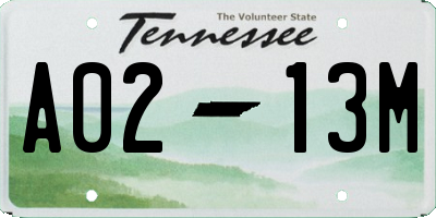 TN license plate A0213M