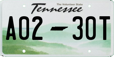 TN license plate A0230T