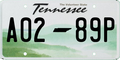 TN license plate A0289P