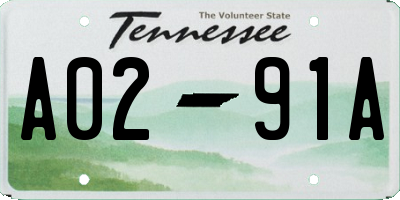 TN license plate A0291A