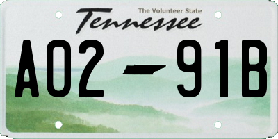 TN license plate A0291B