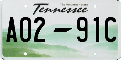 TN license plate A0291C