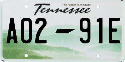 TN license plate A0291E