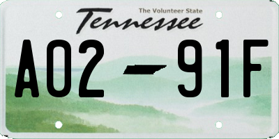 TN license plate A0291F