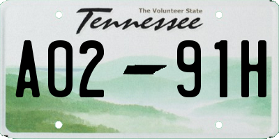 TN license plate A0291H
