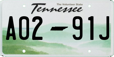 TN license plate A0291J