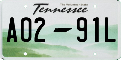 TN license plate A0291L