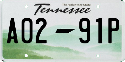 TN license plate A0291P