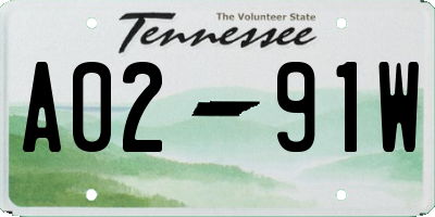 TN license plate A0291W