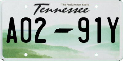 TN license plate A0291Y