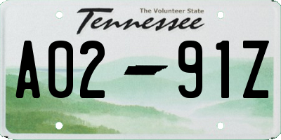 TN license plate A0291Z