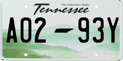TN license plate A0293Y