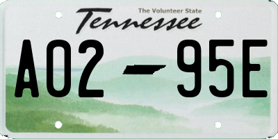 TN license plate A0295E