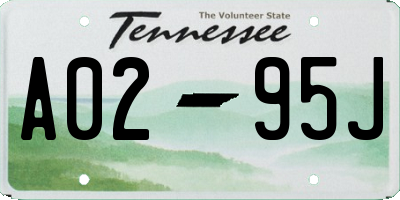 TN license plate A0295J
