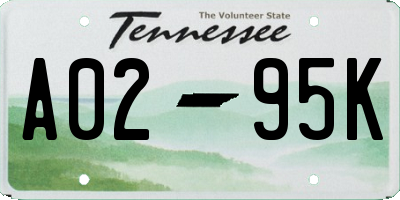 TN license plate A0295K