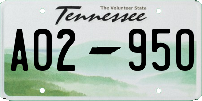 TN license plate A0295O