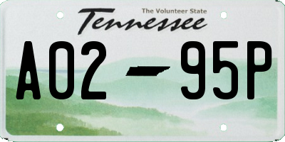 TN license plate A0295P