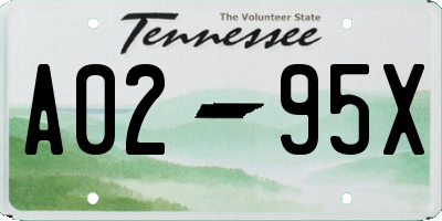TN license plate A0295X