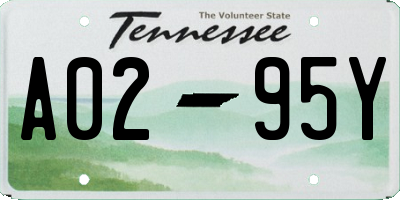TN license plate A0295Y