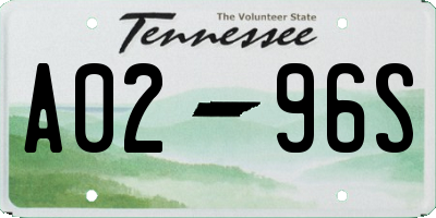 TN license plate A0296S