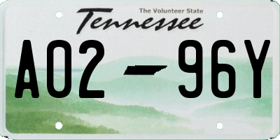 TN license plate A0296Y