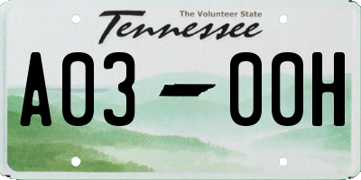TN license plate A0300H