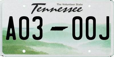TN license plate A0300J