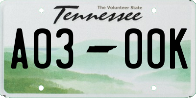 TN license plate A0300K