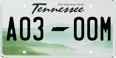 TN license plate A0300M