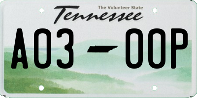 TN license plate A0300P