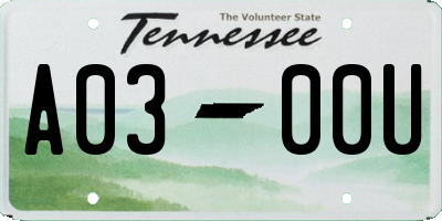 TN license plate A0300U