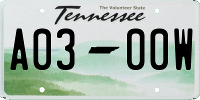 TN license plate A0300W